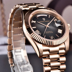 PAGANI DESIGN DD40 Luxury Automatic Watch - Japan NH36A Mechanical