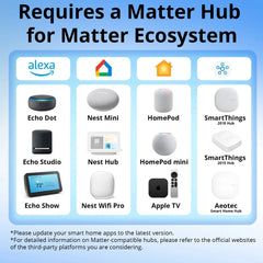 Matter 16A WiFi mini Smart Switch Pass-through Disconnect Dual Control Outletorks Remote Control Timer