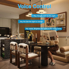 Matter 16A WiFi mini Smart Switch Pass-through Disconnect Dual Control Outletorks Remote Control Timer