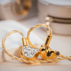 EarAcoustic VSA-LTD Wired Earphones - Titanium Magnetic Audiophile IEMs